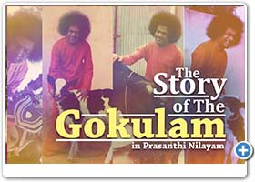The Story of the Sri Sathya Sai Gokulam in Prasanthi Nilayam (Part 7)