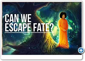 Is Fate Inescapable? - Aravind Balasubramanya